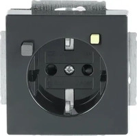 Busch-Jaeger 2CKA003116A0667, Busch-Jaeger 3120 EUCB-81 FI-SCHUKOMAT SCHUKO