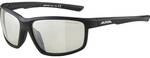 ALPINA Herren Brille DEFEY