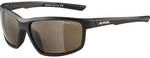 ALPINA Herren Brille DEFEY