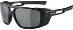 ALPINA Herren Brille ALPINA SKYWALSH