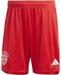 ADIDAS Herren Teamhose FC Bayern M&uuml;nchen 23/24 Heim