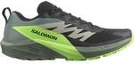 SALOMON Herren Trailrunningschuhe SHOES SENSE RIDE 5 Black/Laur/Grgeck