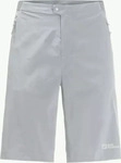 Jack Wolfskin 1508081, JACK WOLFSKIN Herren Shorts PRELIGHT SHORT M Silver Grey male