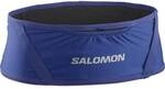 SALOMON Kleintasche PULSE BELT Surf The Web/BLACK