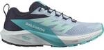 SALOMON Damen Trailrunningschuhe SHOES SENSE RIDE 5 W Cashbl/Carbon/Peabl