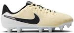 NIKE Kinder Fussball-Rasenschuhe JR LEGEND 10 ACADEMY FG/MG