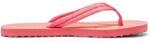 PUMA Herren Flip Flops Epic Flip v2