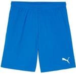 PUMA Herren Shorts teamGOAL Shorts