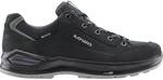 LOWA Herren Multifunktionsschuhe RENEGADE EVO GTX LO