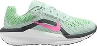 Nike FJ9510, NIKE Damen Laufschuhe WMNS AIR WINFLO 11 300 female