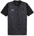 PUMA Herren Fantrikot teamGLORY Jersey
