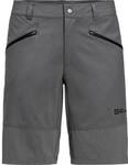 JACK WOLFSKIN Herren Shorts HIKING ALPINE SHORT M