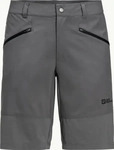 Jack Wolfskin 1509111, JACK WOLFSKIN Herren Shorts HIKING ALPINE SHORT M slate male