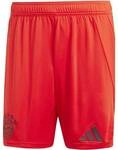 ADIDAS Herren Teamhose FC Bayern M&uuml;nchen 24/25 Heim