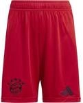 ADIDAS Kinder Teamhose FC Bayern M&uuml;nchen 24/25 Kids Heim