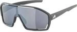 ALPINA Herren Brille BONFIRE