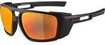 ALPINA Herren Brille ALPINA SKYWALSH