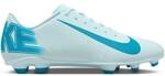 NIKE Herren Fussball-Rasenschuhe Nike Mercurial Vapor 16 Club Multi-