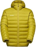 mammut 1013-03370, MAMMUT Herren Funktionsjacke Waymarker IN aura male