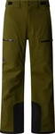 The North Face NF0A87Y7, THE NORTH FACE Herren Hose M CHAKAL PANT FOREST OLIVE male