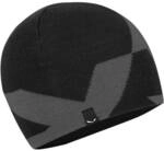 SALEWA Herren M&uuml;tze PURE REVERSIBLE AM BEANIE