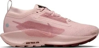 Nike FQ0912, NIKE Damen Trailrunningschuhe W PEGASUS TRAIL 5 GTX Pink female