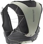 SALOMON Rucksack ADV SKIN 12 GRADIENT SET Phantom/CASTELR