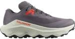 SALOMON Herren Trailrunningschuhe SHOES ULTRA GLIDE 3 Excali/Icicle/Neon F