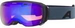 ALPINA Damen und Herren Skibrille "Estetica QMM"
