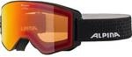 ALPINA Herren Skibrille "Narkoja"