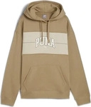 Puma 681540, PUMA Damen Kapuzensweat SQUAD Hoodie FL Braun female