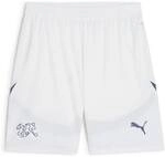 PUMA Herren Shorts SFV Shorts Replica
