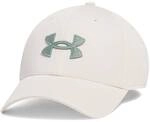 UNDER ARMOUR Herren Men's UA Blitzing