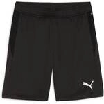 PUMA Herren Shorts teamGOAL Training Short