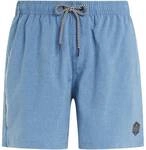 PROTEST Herren Badeshorts DAVEY beachshort