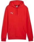 PUMA Herren Pullover teamGOAL Casuals Hoody