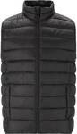 WHISTLER Vest Horis