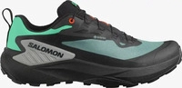 Salomon L47688300, SALOMON Herren Trailrunningschuhe SHOES GENESIS GTX