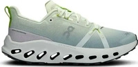 On 3WE1029, ON Damen Trailrunningschuhe Cloudsurfer Trail WP Silber female