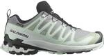 SALOMON Damen Trailrunningschuhe SHOES XA PRO 3D V9 GTX W QuSh/Lily/Bluha