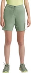 Jack Wolfskin 1509141, JACK WOLFSKIN Damen Shorts HIKING ALPINE SHORT W eucalyptus