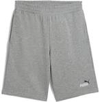 PUMA Herren Shorts ESS 2 COLOR No. 1 Logo Shorts 10 TR