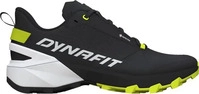 Dynafit 11005599, DYNAFIT Dynafit Herren Laufschuh TRANSALPER 2 GTX 0958 male