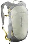 SALOMON Kleintasche TRAILBLAZER 10 SEDONA SAGE/SEAGRASS/CRES