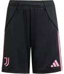 ADIDAS Kinder Teamhose Juventus Turin 25/26 Kids Heim