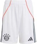 ADIDAS Kinder Teamhose FC Bayern M&uuml;nchen 25/26 Ausw&auml;rts
