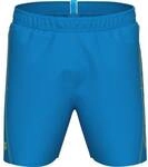 ARENA Herren Badeshorts FUNDAMENTALS LOGO BOXER