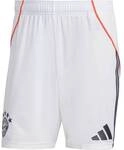 ADIDAS Herren Teamhose FC Bayern M&uuml;nchen 25/26 Ausw&auml;rts
