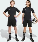 Adidas JW4369, ADIDAS Kinder Shorts Tiro 24 BLACK/PURRUS