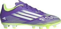Adidas JI0030, ADIDAS Kinder Fussball-Rasenschuhe F50 Club FG/MG Kids Lila